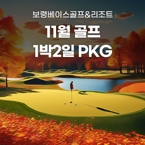 2025년 11월 골프 PKG