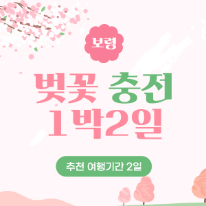 보령베이스 여행일정추천3