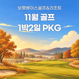 2026년 11월 골프 PKG